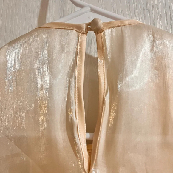NWT Dear Jose Ivory Organza Blouse - Picture 5 of 14